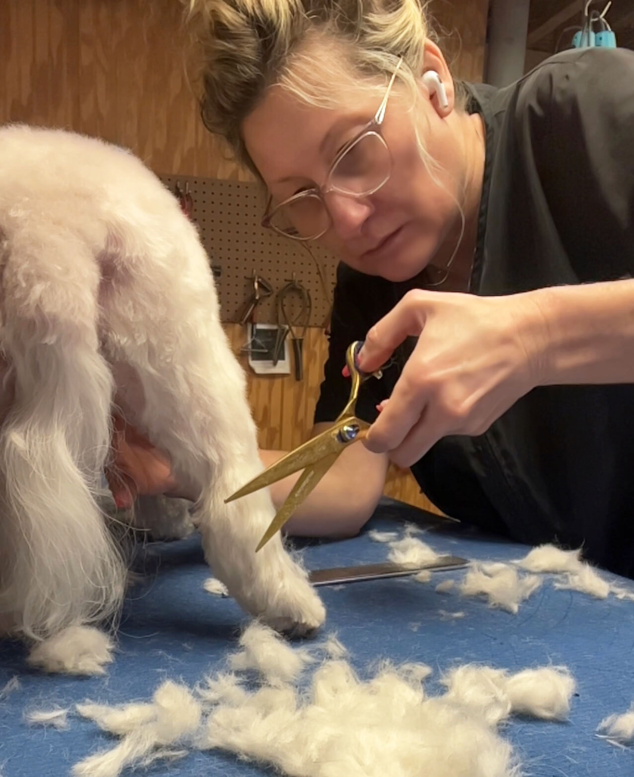 Amy Leigh working on a dog