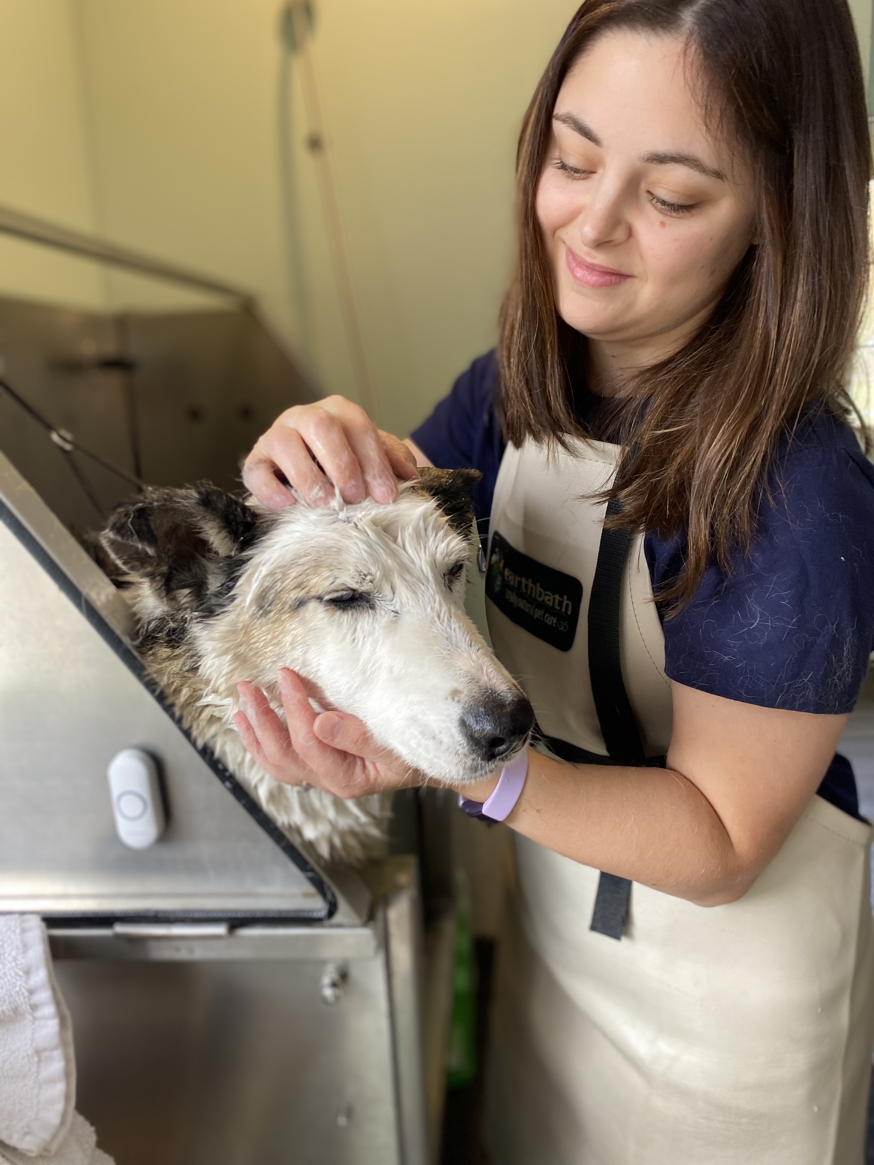 Desiree Lee bathing dog in tub