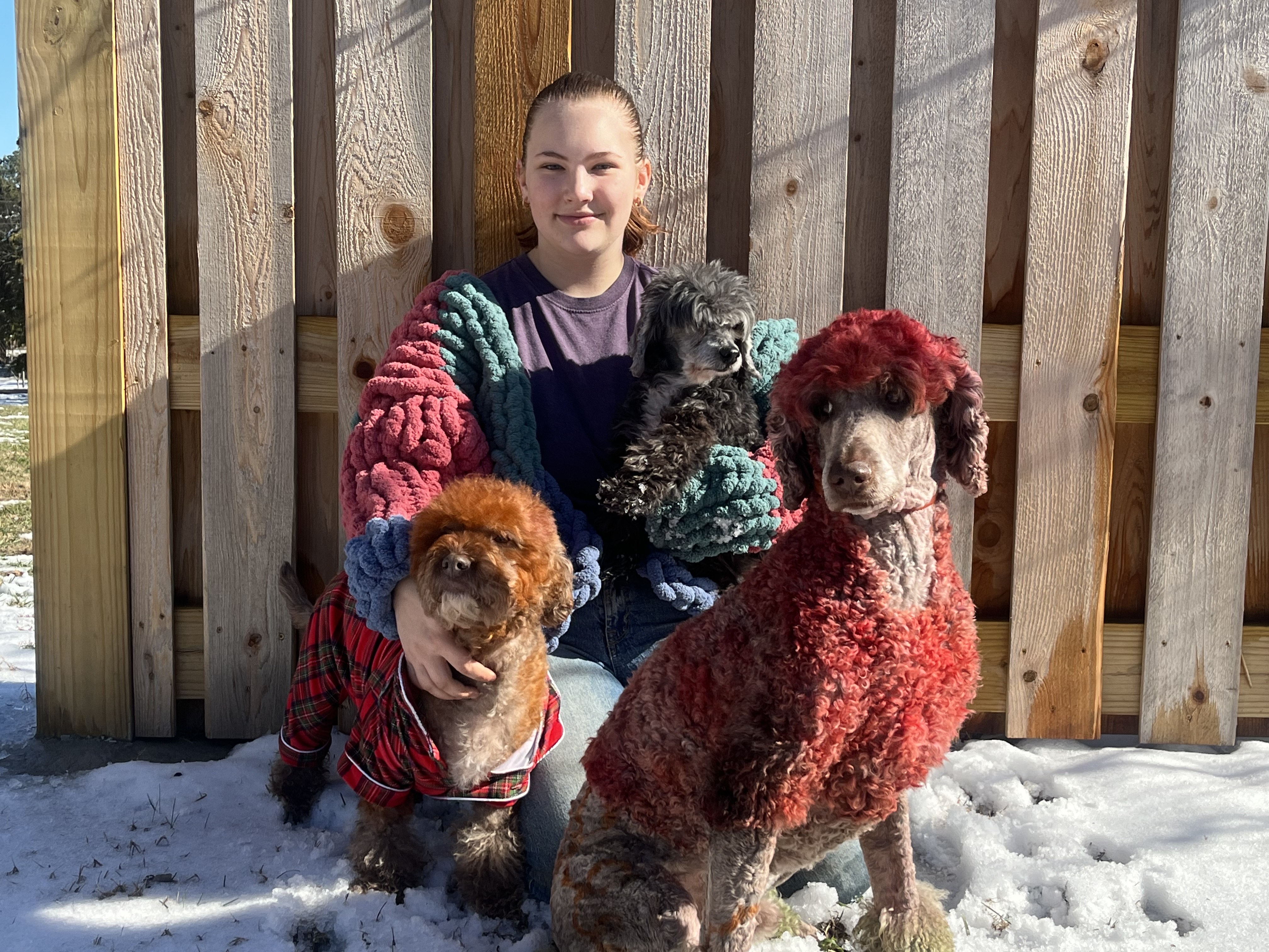 Madilyn Mullin with 3 groomed dogs in the snow