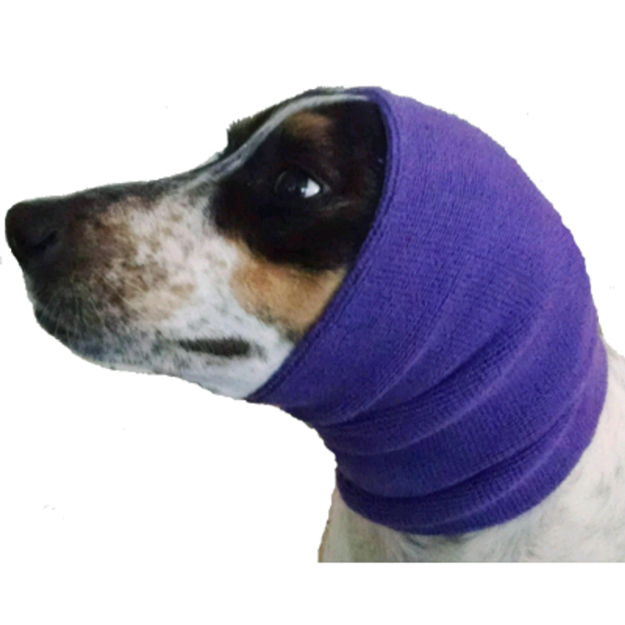 Purple Happy Hoodie, 2 Pack