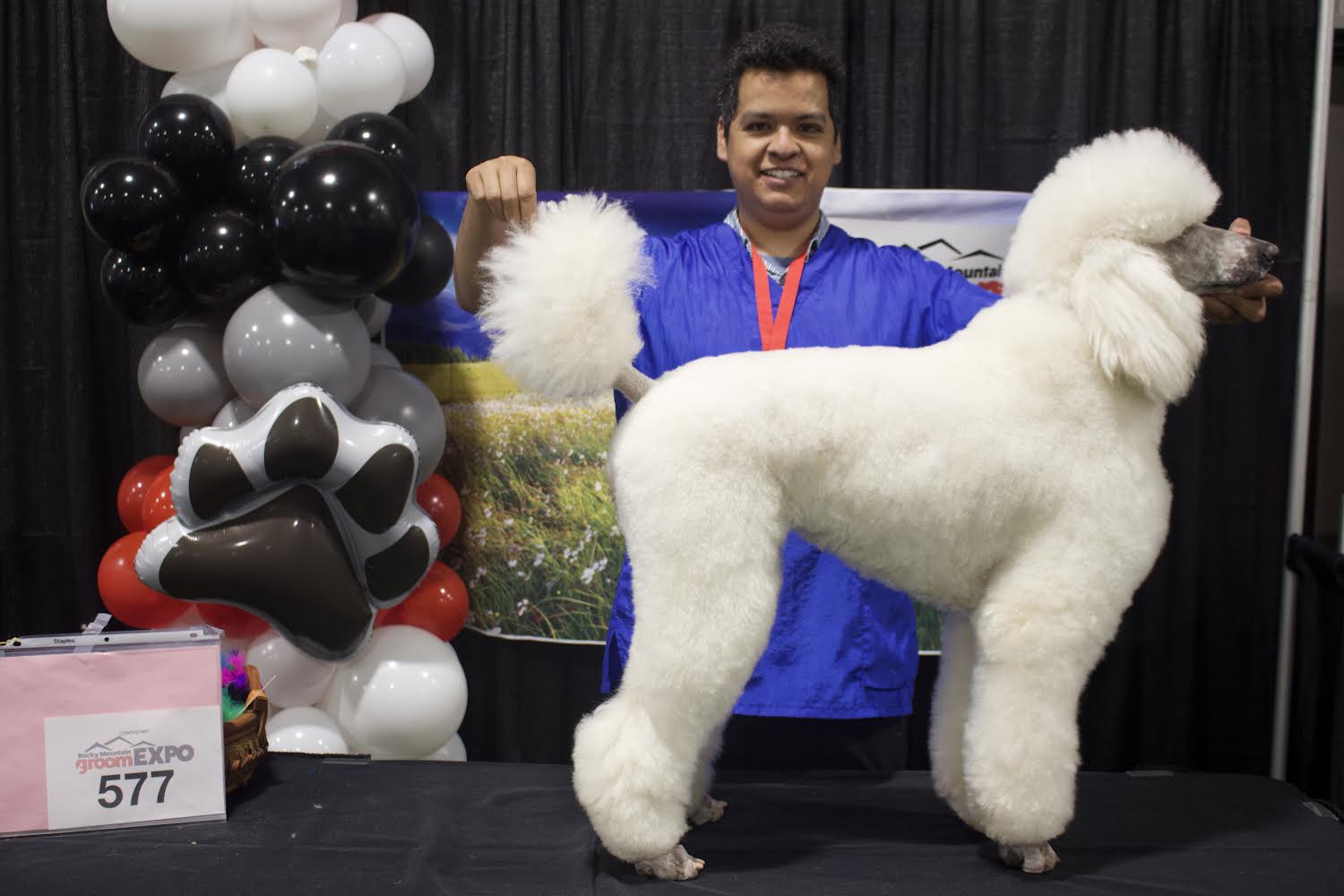 Ricardo Hernandez with Poodle at grooming competition